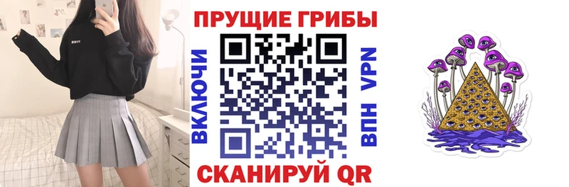 Псилоцибиновые грибы Magic Shrooms  ОМГ ОМГ tor  Туринск 